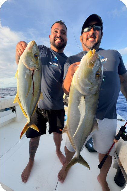 Captura da Aube Fishing