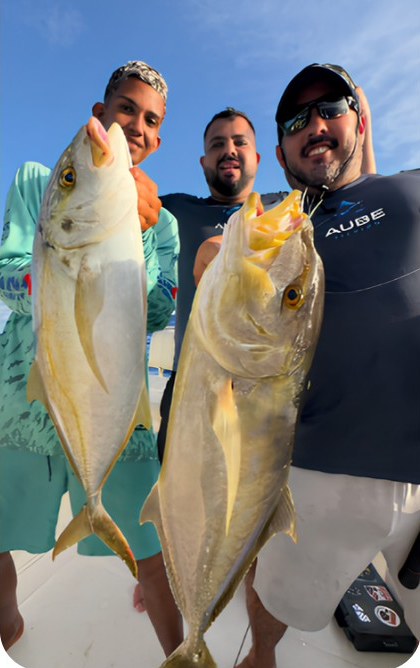 Captura da Aube Fishing